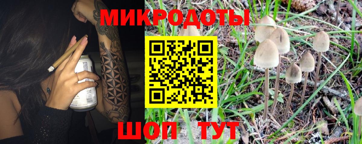 Кузнецк  Псилоцибиновые грибы прущие грибы  Псилоцибиновые грибы мухоморы  Вход с VPN 