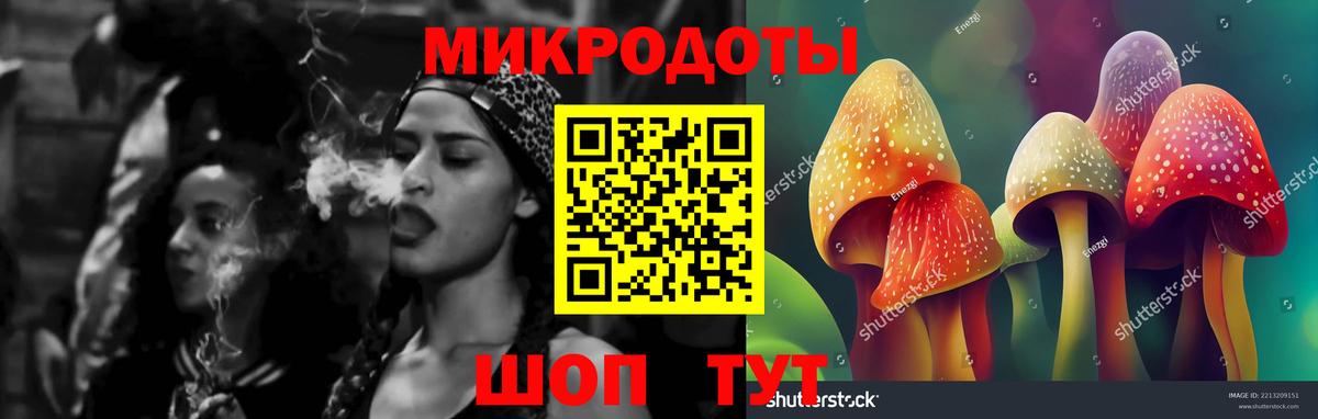 Псилоцибиновые грибы Psilocybine cubensis Кузнецк
